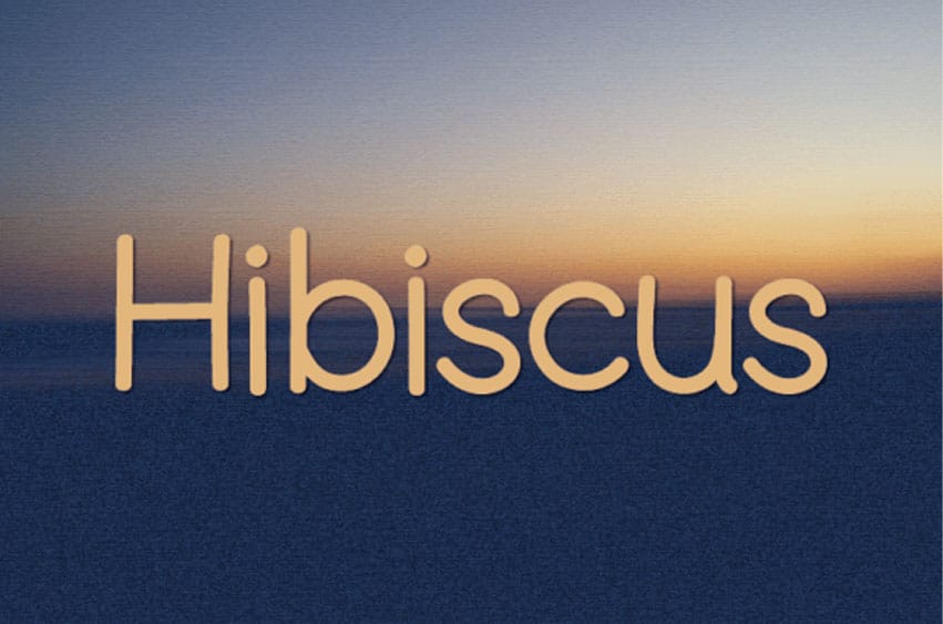Hibiscus Sans Font