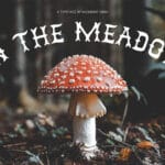 In the Meadow Font
