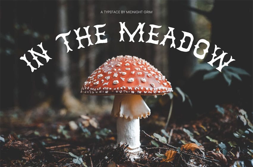 In the Meadow Font