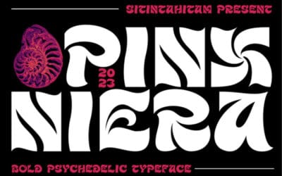 Pinx Niera Font