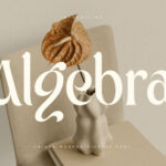 Algebra Font