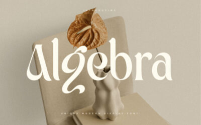 Algebra Font