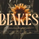 Blakes Font