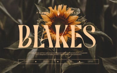 Blakes Font