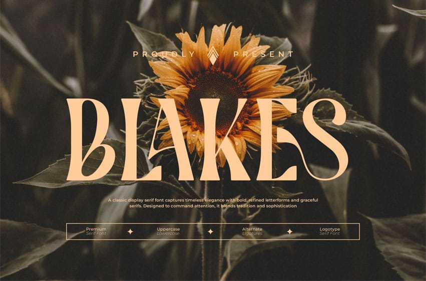Blakes Font