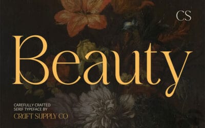 CS Beauty Font