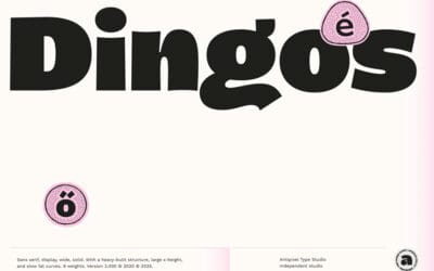 Dingos Font