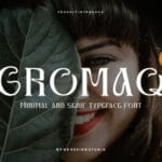 Gromaq Font