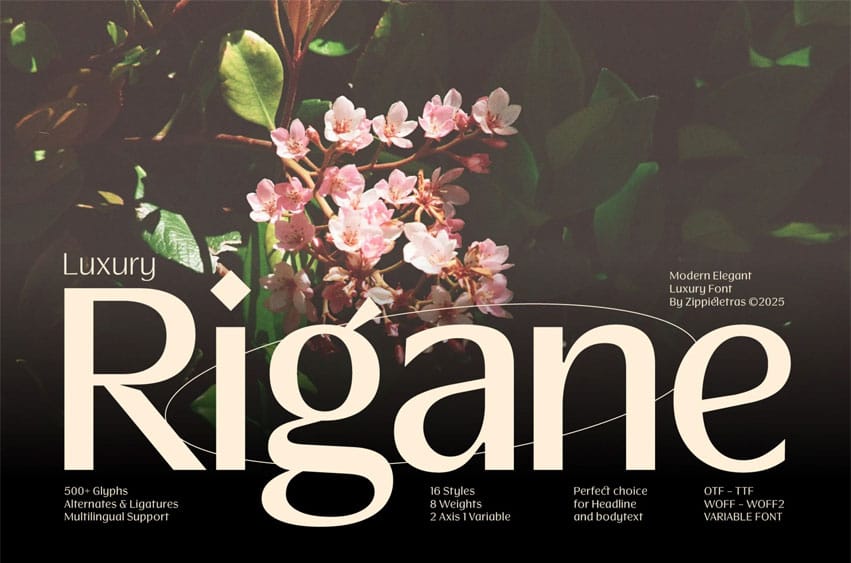 Luxury Rigane Font
