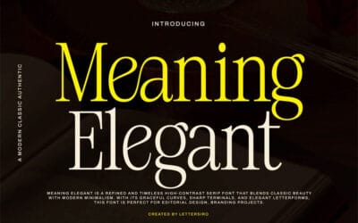 Meaning Elegant Font