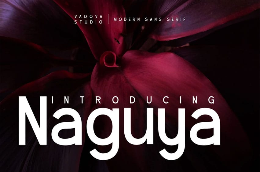 Naguya Font