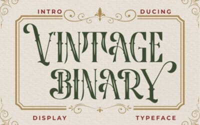 Vintage Binary Font