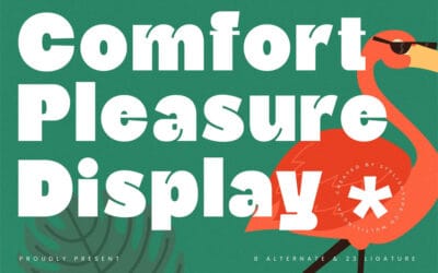 Comfort Pleasure Font