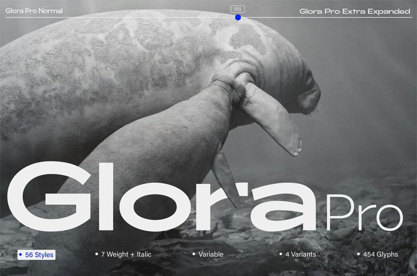 Glora Pro Font