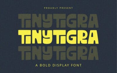 Tinytigra Font