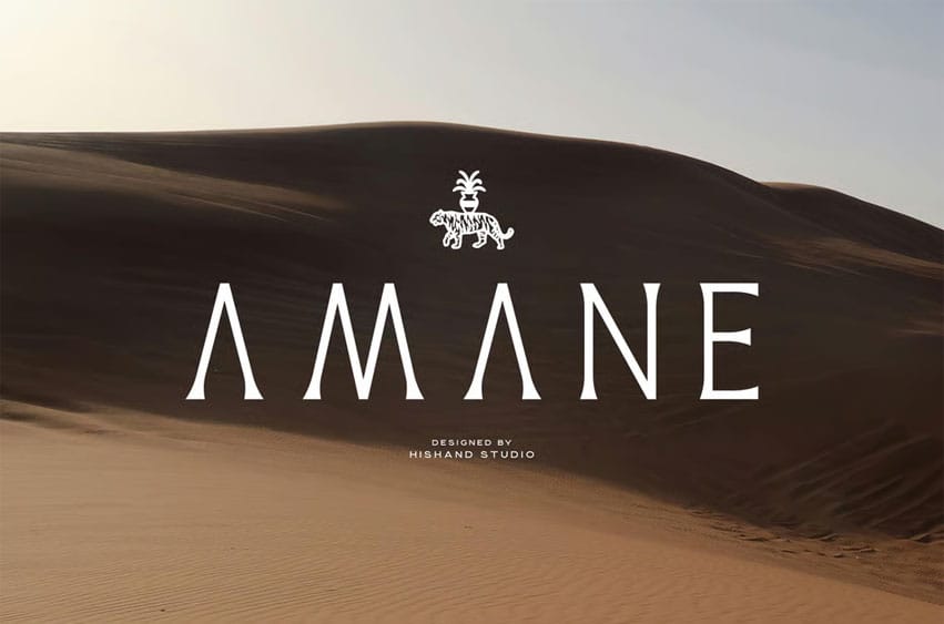 Amane Serif Font