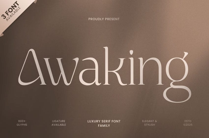 Awaking Font