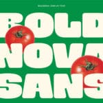 Boldnova Font