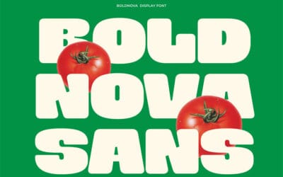 Boldnova Font