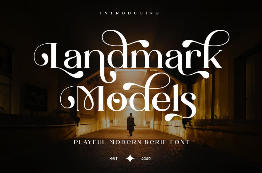 Landmark Models