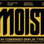 Moist Font