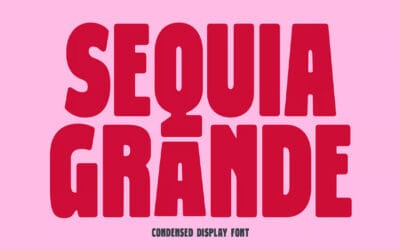 Sequia Grande Font