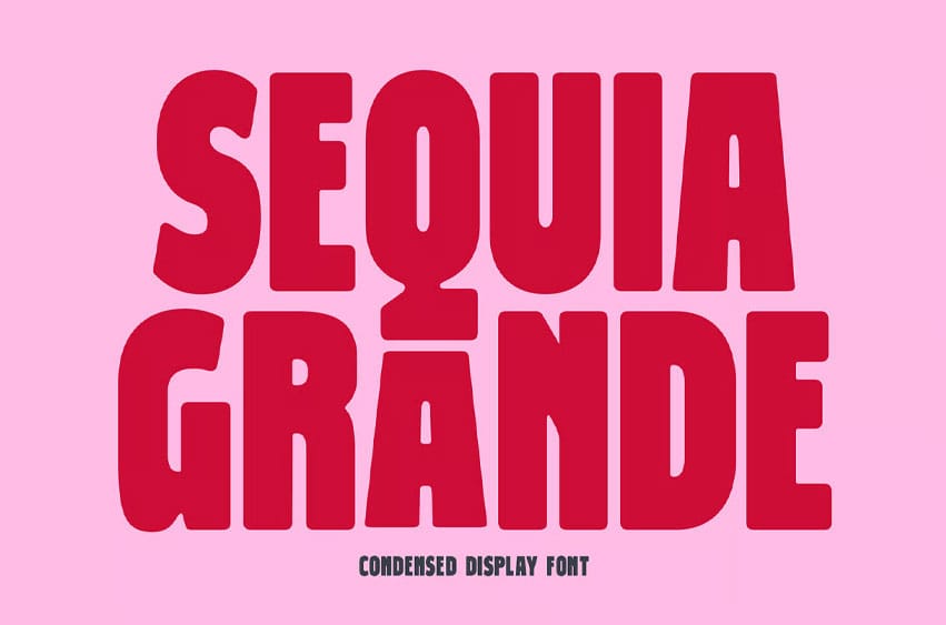 Sequia Grande Font