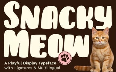Snacky Meow Font