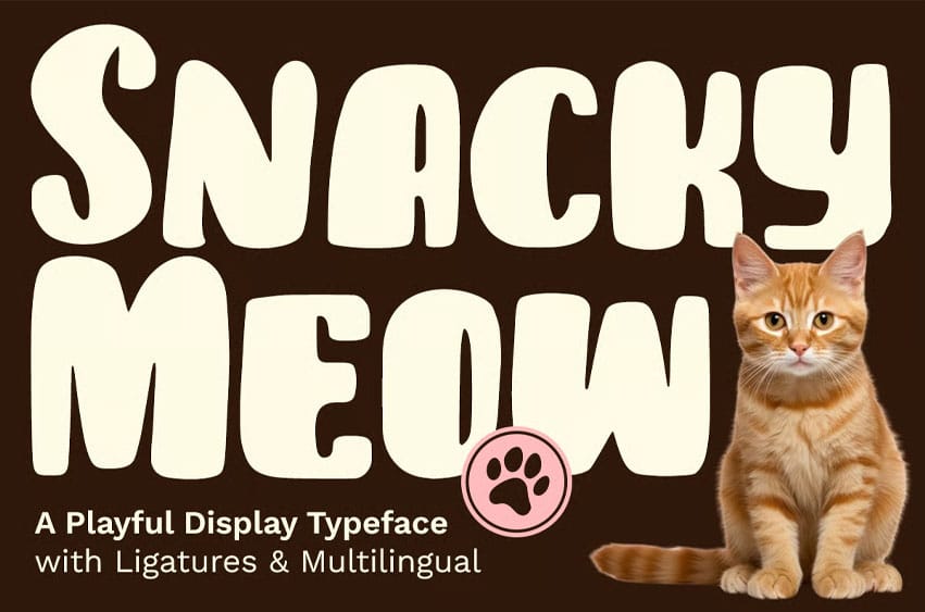 Snacky Meow Font