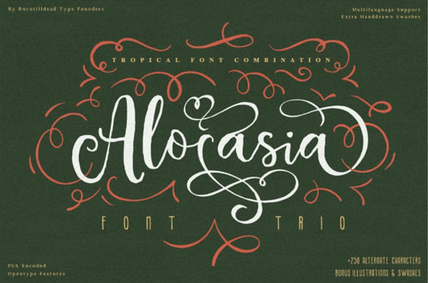 Alocasia Font