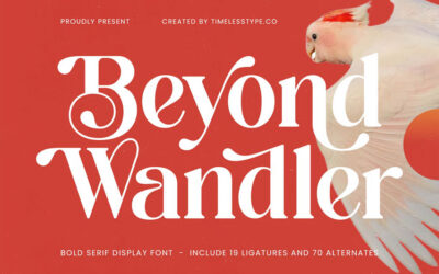 Beyond Wandler Font