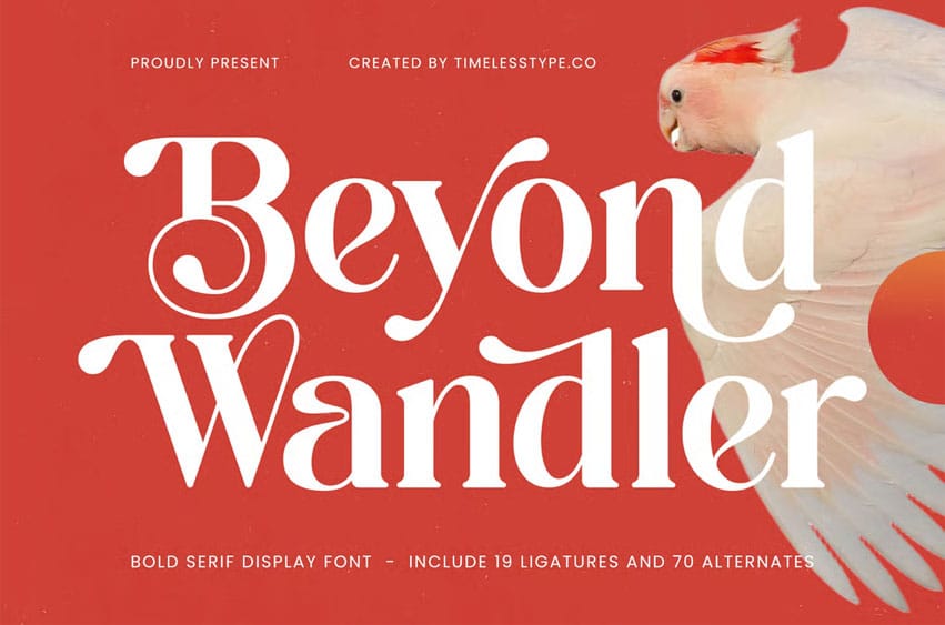 Beyond Wandler Font