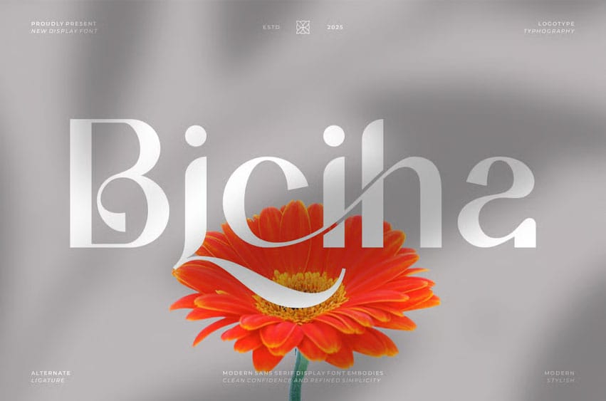 Biciha Font