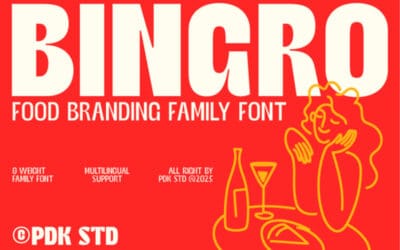 Bingro Font