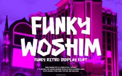 Funky Woshim Font