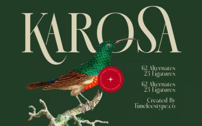 Karosa Font