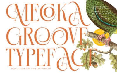 Mecoka Groove Font