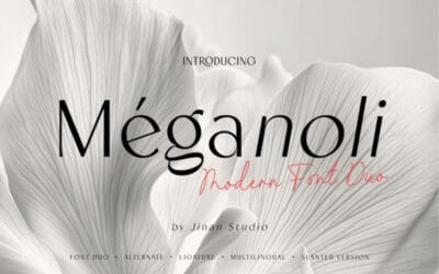 Meganoli Duo Font