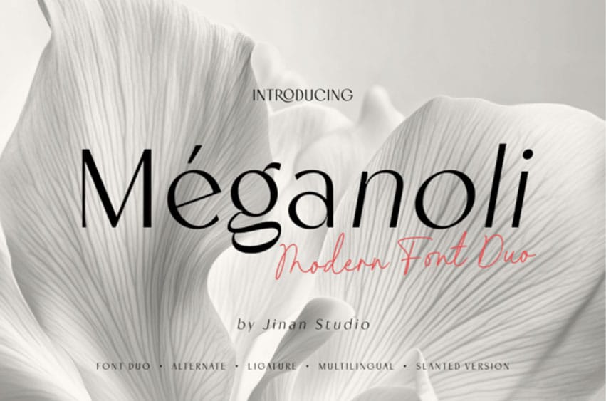 Meganoli Duo Font