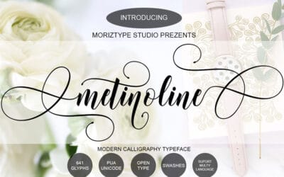 Metinoline Script Font