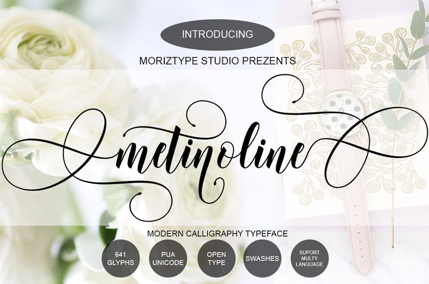 Metinoline Script Font