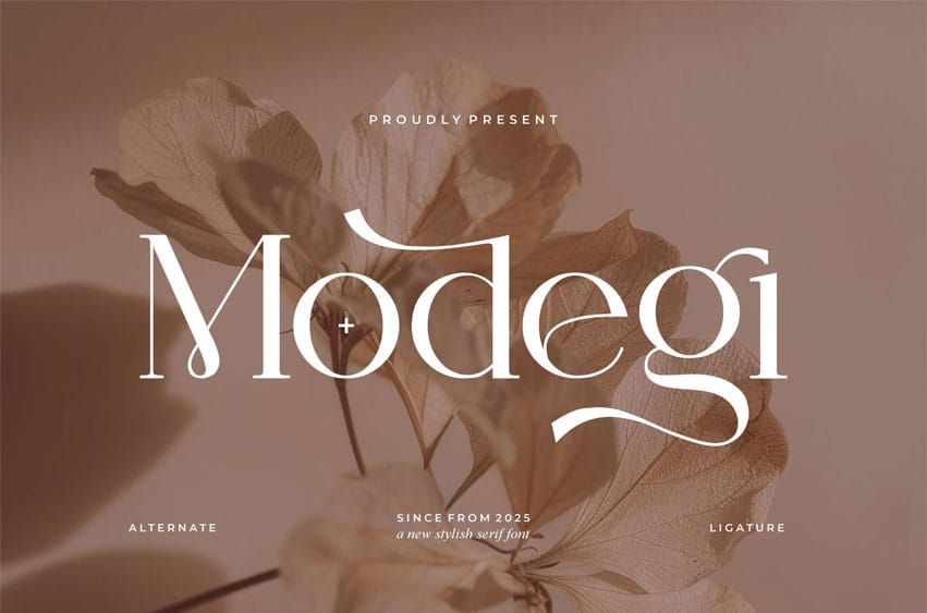 Modegi Font