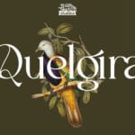 Quelgira Font