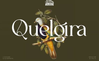 Quelgira Font