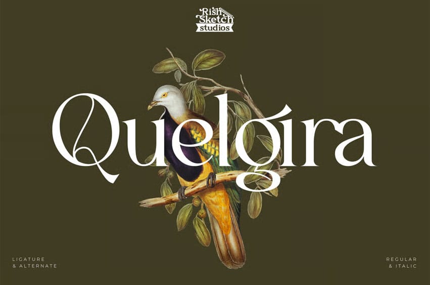 Quelgira Font
