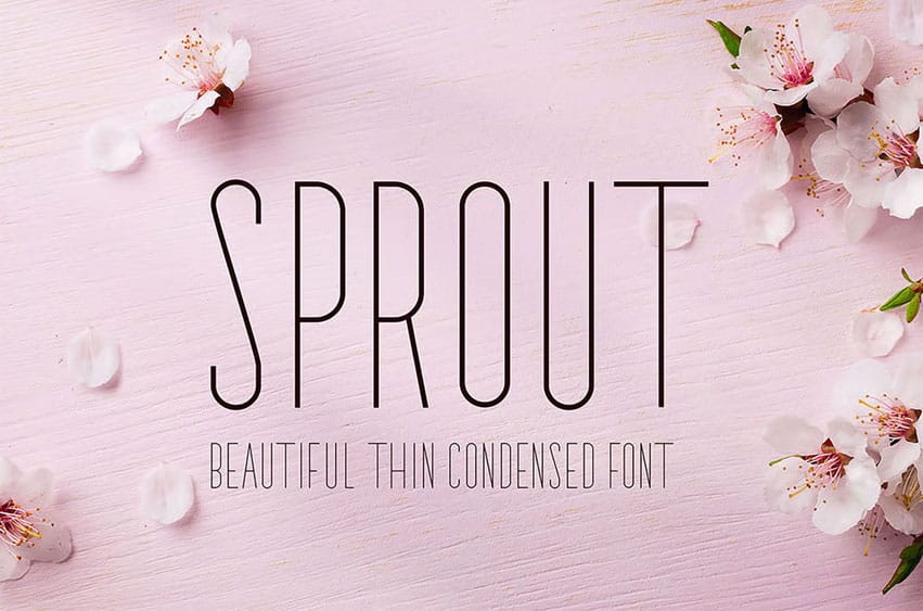 Sprout Font