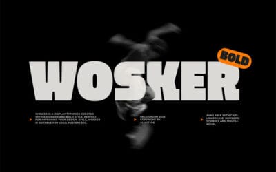 Wosker Bold Font