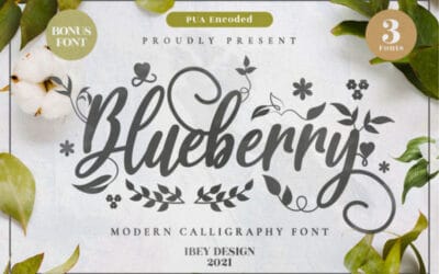 Blueberry Font
