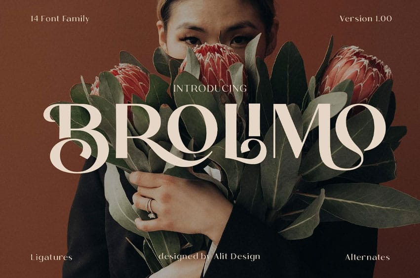 Bromilo Typeface Font