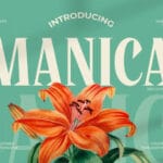 Manica Font